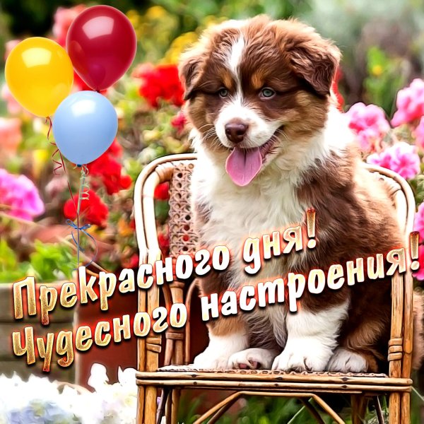 Открытка "хорошего настроения"