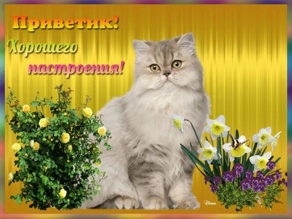 Отличного настроения