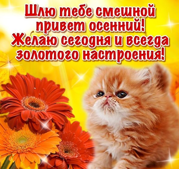 Приветик хорошего дня и настроения