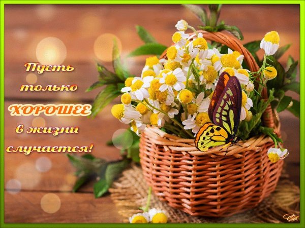 Тёплые пожелания на день