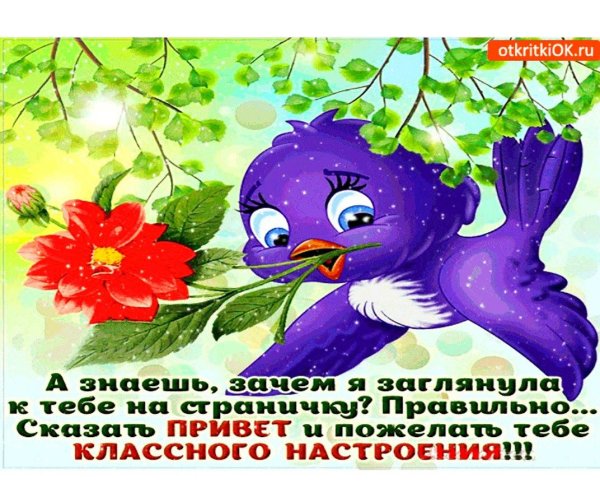 Открытки привет хорошего настроения