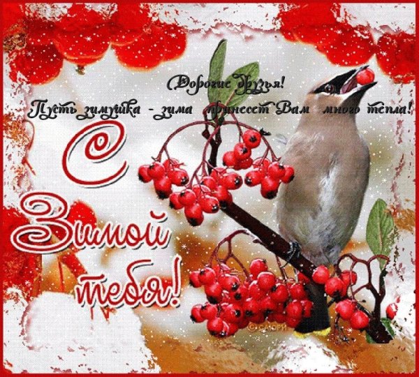 Открытки с зимой