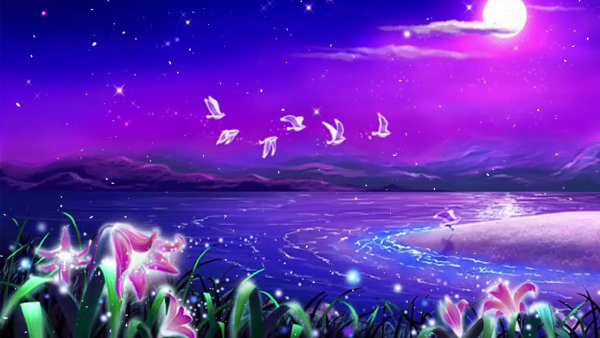 Доброй весенней ночи любимая