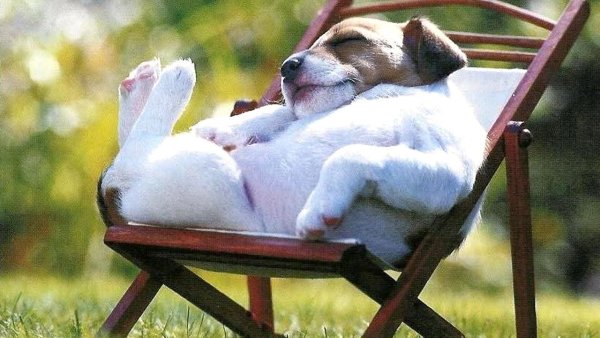 Выходные картинки прикольные