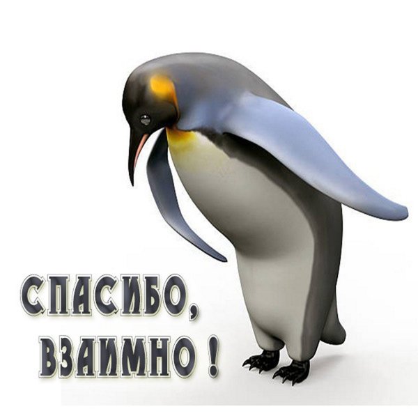 Стикер взаимно