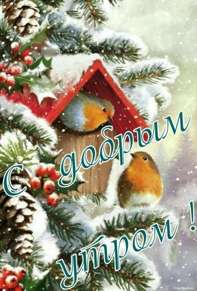 Открытки с новым годом с птичками