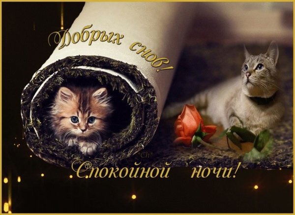 Открытки с пожеланием спокойной ночи