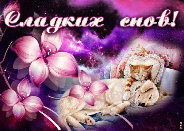 Открытки спокойной ночи женщине