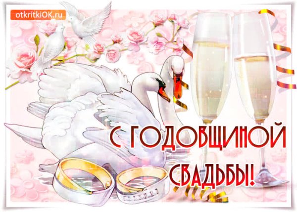 С фарфоровой свадьбой любимый