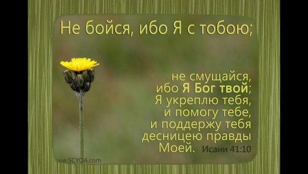 Бог цитаты из Библии