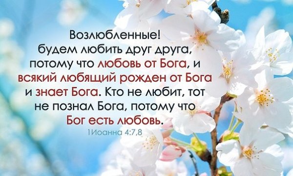 Стихи из Библии о любви