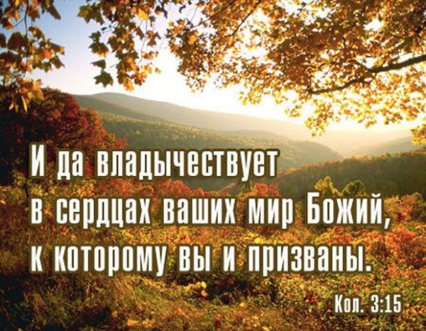 Открытка Божьего мира в сердца ваши