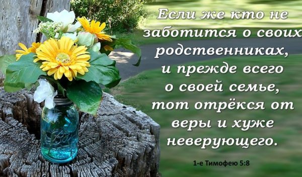 Стихи из Библии