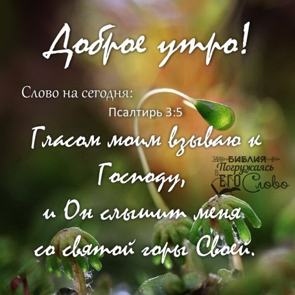 Погружаясь в его слово христианские