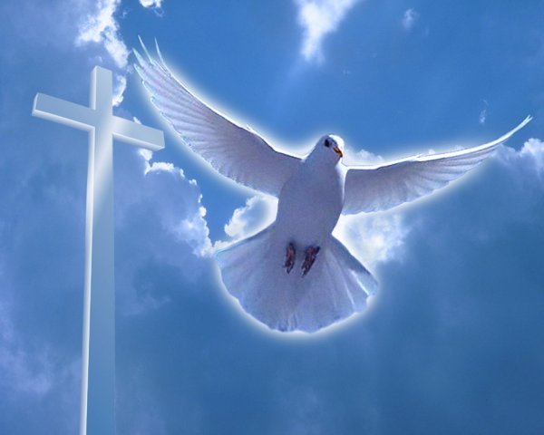 Поздравление с Крещением Господним