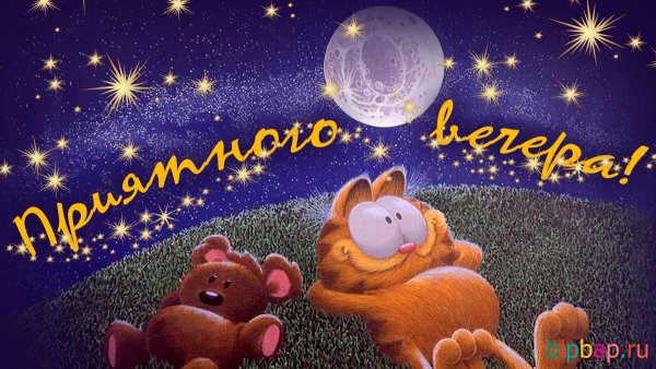 Хорошего вечера прикольные картинки