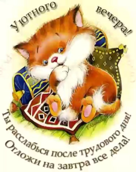 Прикольные пожелания доброго вечера