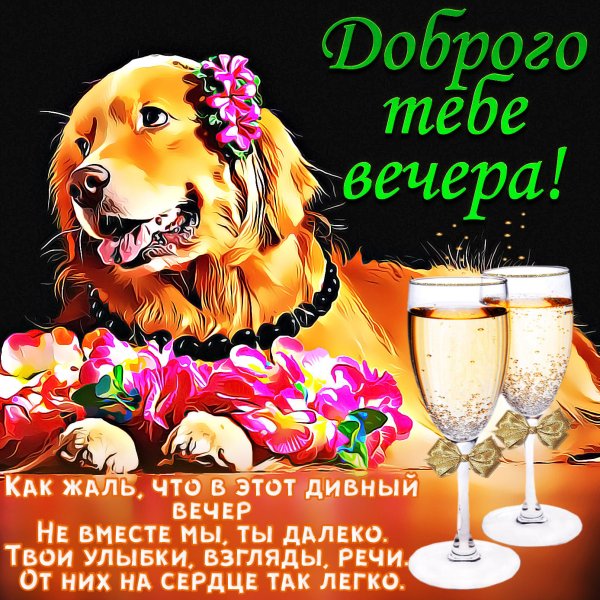 Открытки добрый вечер прикольные