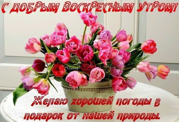 Хорошего воскресного дня с цветами