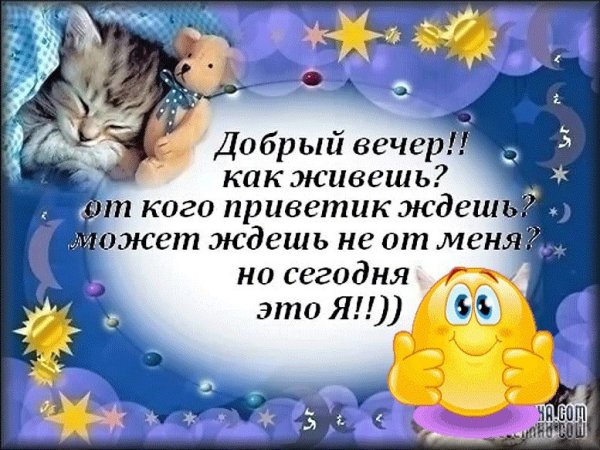 Пожелания доброго вечера с юмором