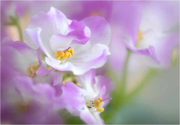 Христианские пожелания