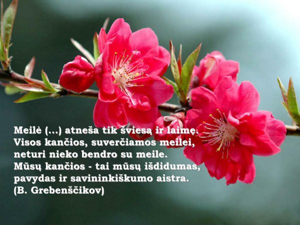 Христианские открытки с днём рождения мужчине