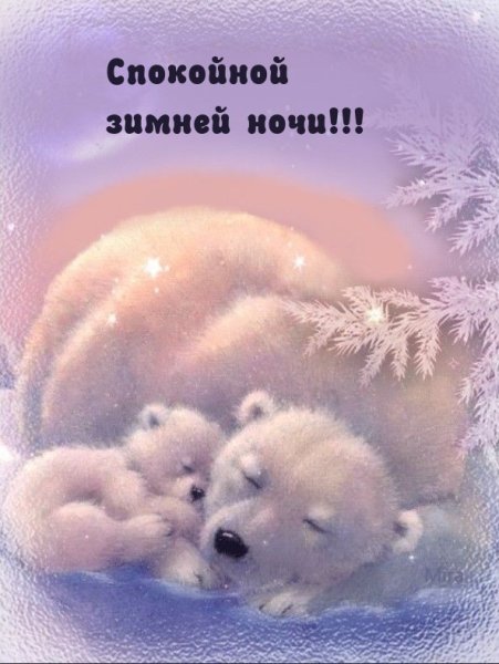 Спокойной новогодней ночи
