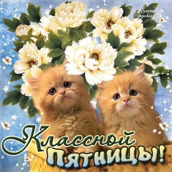 Открытки с пятницей