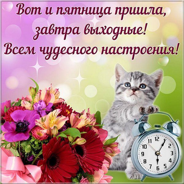Поздравления с пятницей открытки