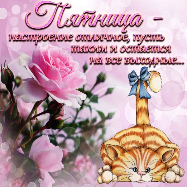 Поздравление с пятницей