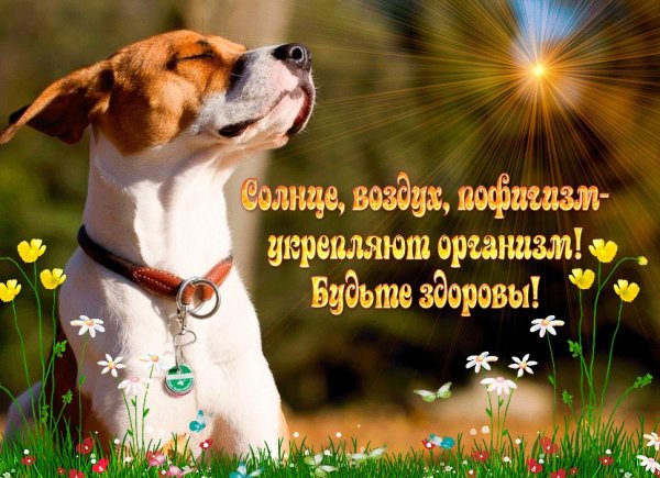 Здоровья и хорошего настроения