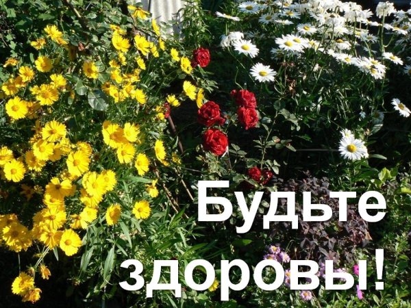 Будьте здоровы и счастливы