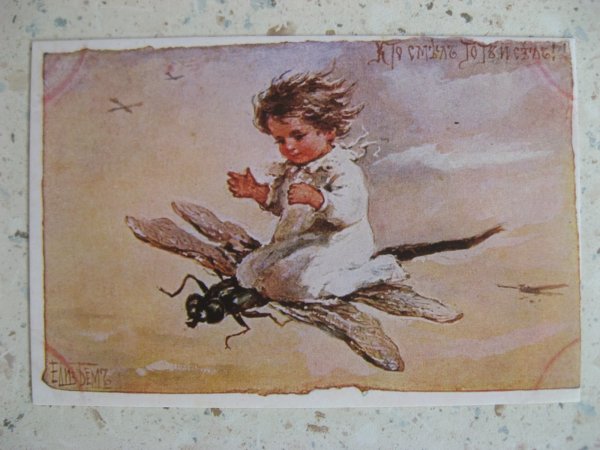 Елизавета бём-Эндаурова