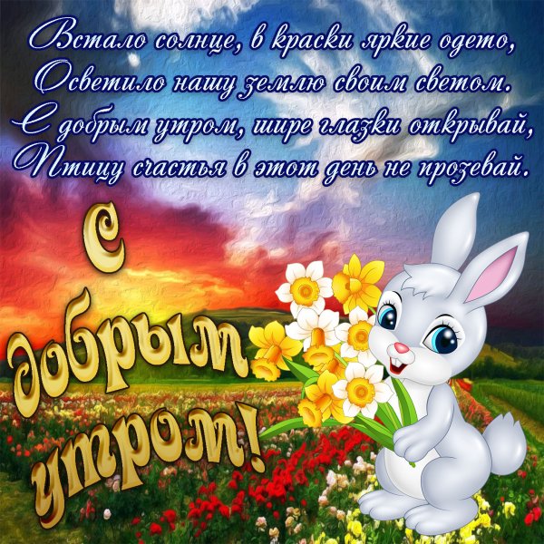 Поздравления с добрым утром и днем