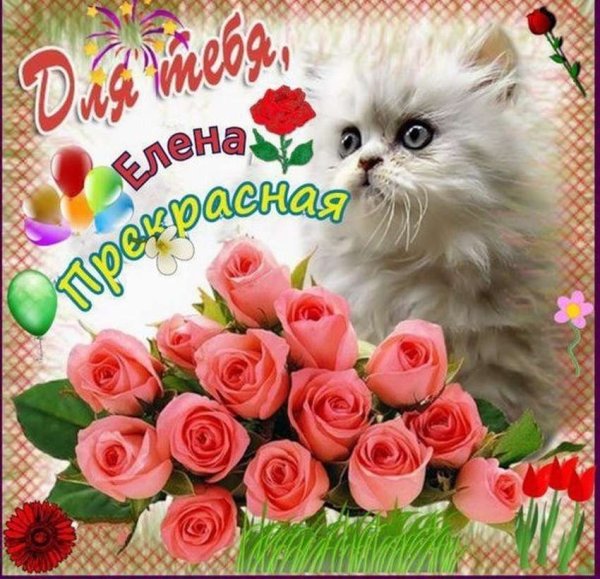 Поздравления с днём рождения Елене