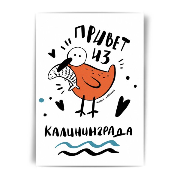 Привет из Калининграда
