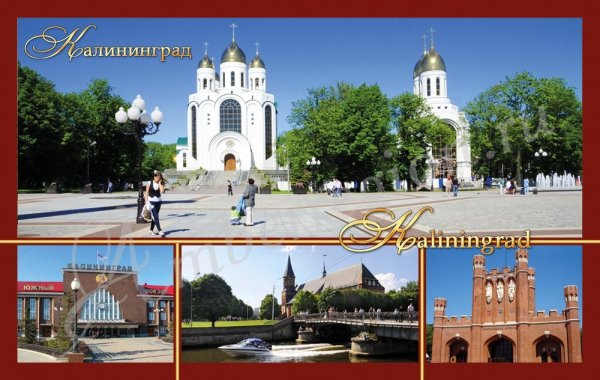 Калининград кафедральный собор отмывка