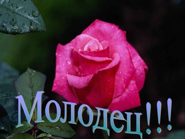 Поздравляю ты молодец