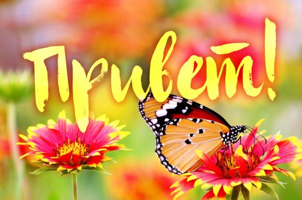 Открытки привет прикольные