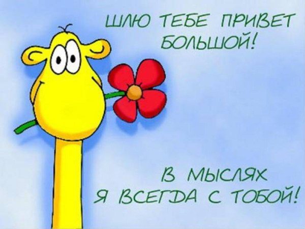 Открытки привет