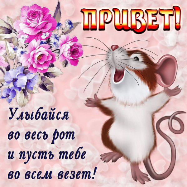 Привет картинки