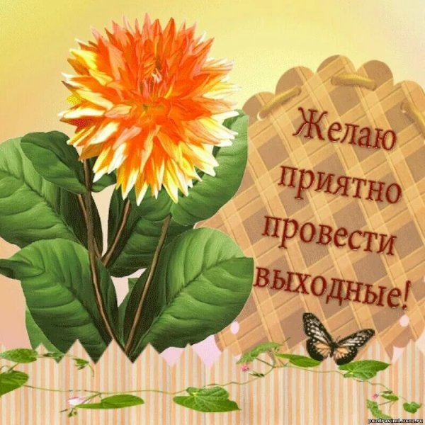 Пожелания на выходные