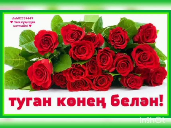 Котлыйм картинки