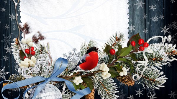 Новогодний фон со снегирями