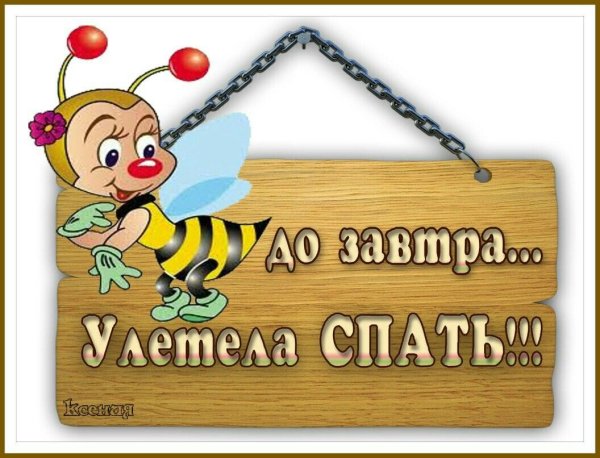 Пока до завтра