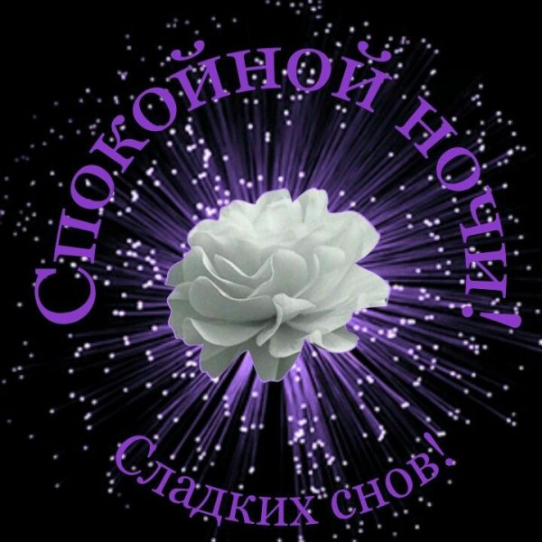 Спокойной ночи до завтра