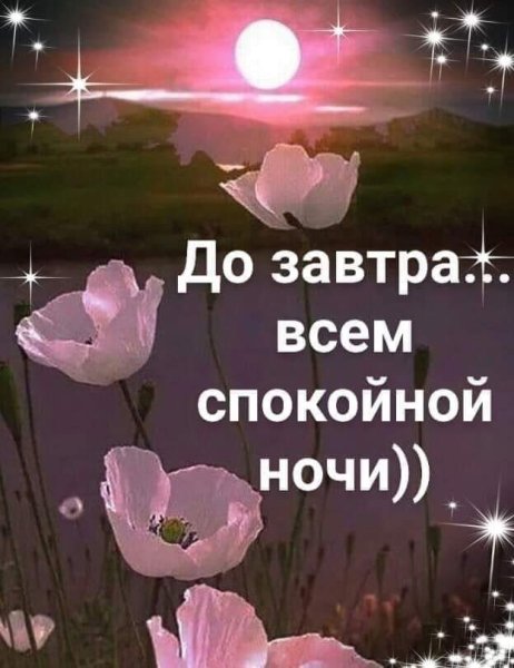 Доброй ночи до завтра