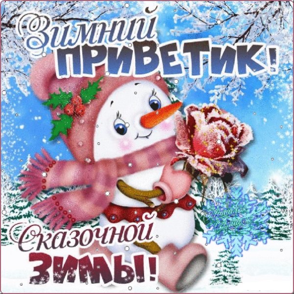 Зимний привет