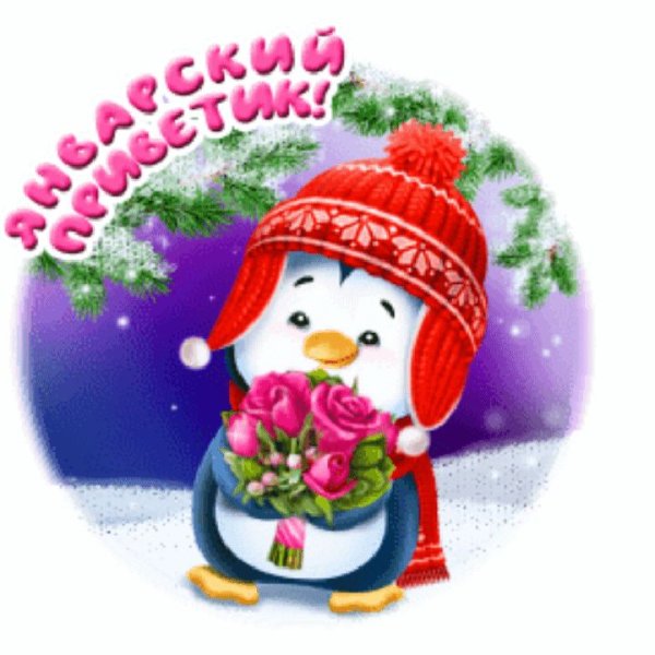 Зимний привет