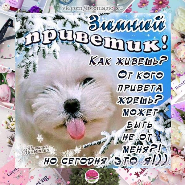 Приветики в картинках красивые зимние
